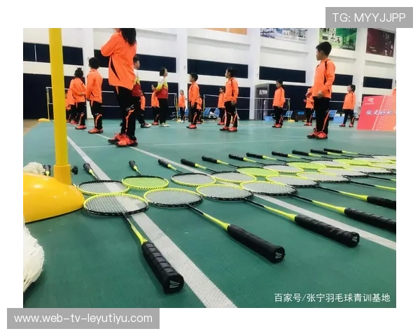 国际羽毛球协会在青训中设置选手成长档案便于长期管理与评估，国际羽毛球联合会是在哪一年成立的