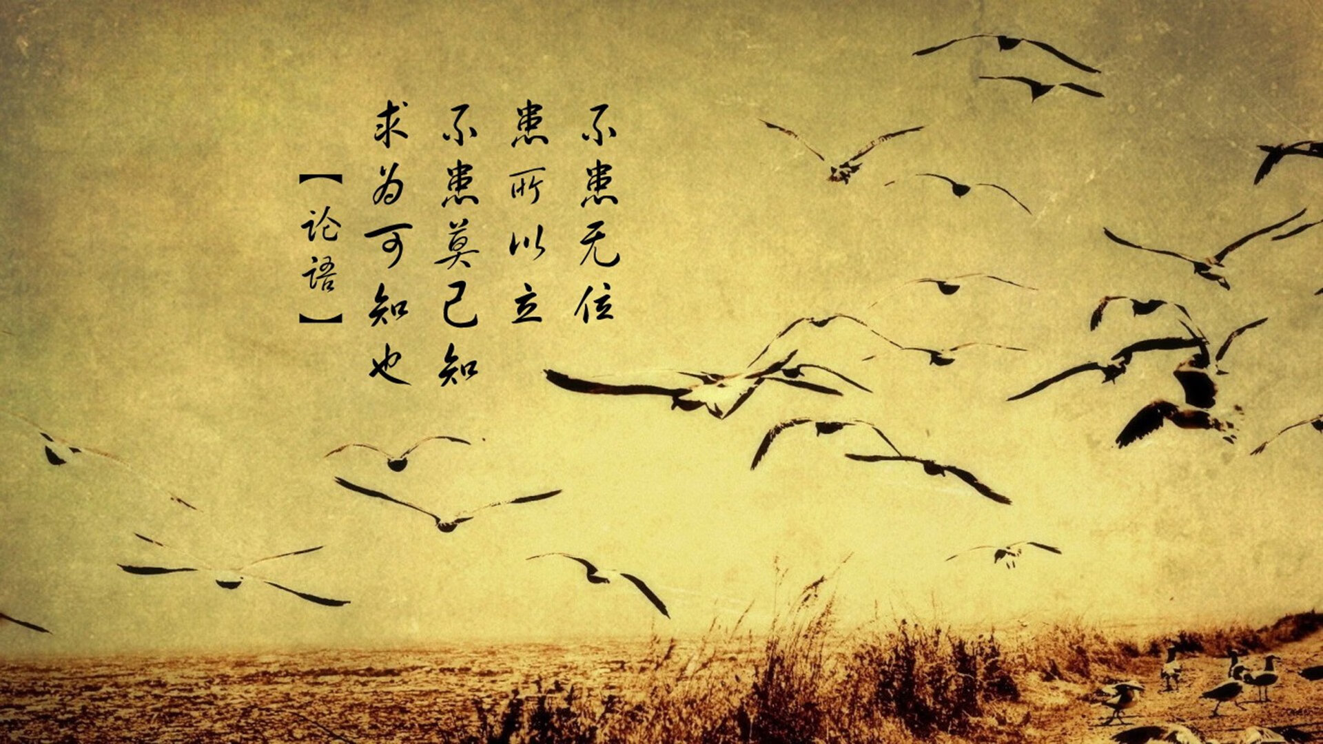 乐鱼app下载-格鲁吉亚女篮在欧洲锦标赛中崭露头角，迈向更高舞台，格鲁吉亚篮球厉害吗